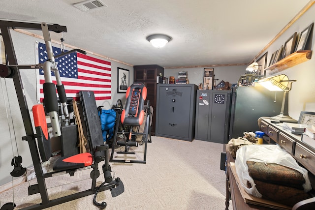 exercise room with carpet flooring and a textured ceiling