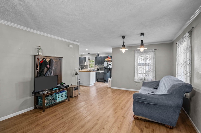 living area with wood-type flooring, a textured ceiling, and ornamental molding