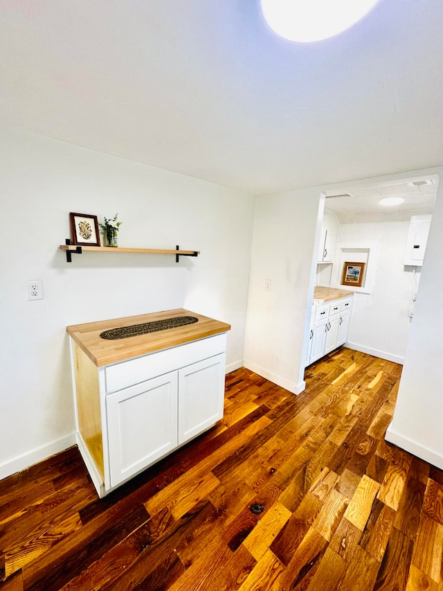 interior space featuring dark hardwood / wood-style floors and sink