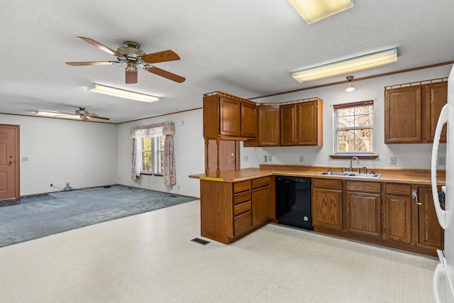 kitchen featuring light carpet, a textured ceiling, black dishwasher, and sink