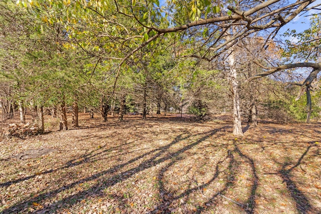 view of local wilderness