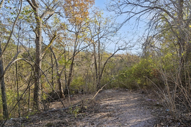 view of local wilderness