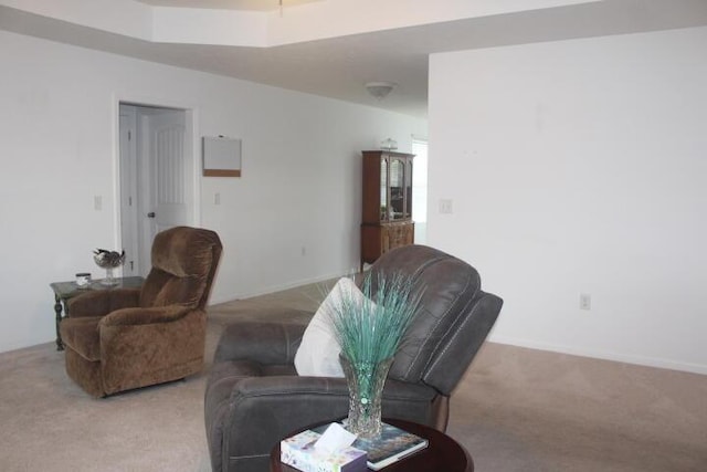 living room with light colored carpet