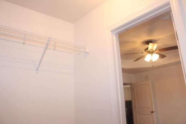 walk in closet with ceiling fan