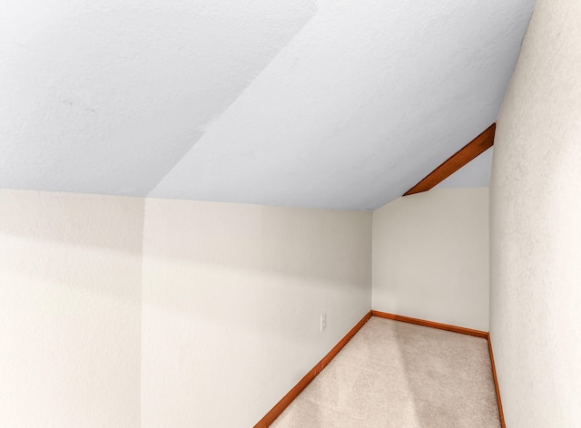 interior space featuring carpet flooring and a textured ceiling