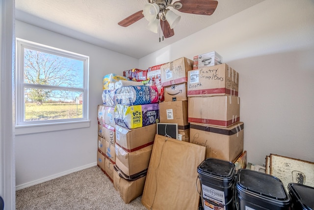 storage featuring ceiling fan