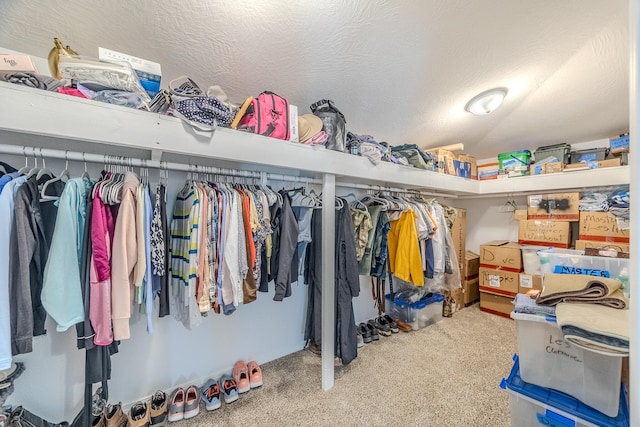 walk in closet featuring carpet flooring