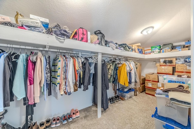 538 W Mack Rd, Seymour, MO 65746 - spacious closet featuring carpet