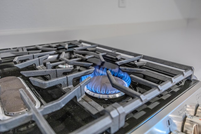 interior details featuring stainless steel stovetop