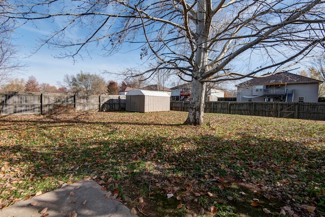 view of yard with a storage unit