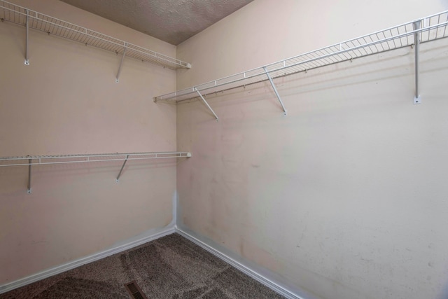 spacious closet with carpet