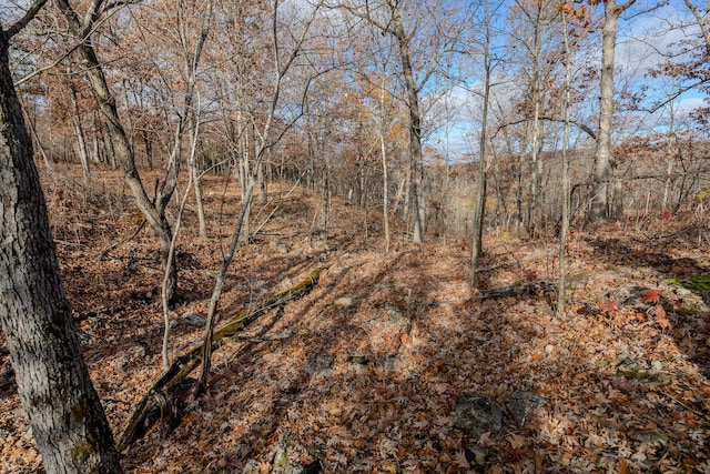 view of landscape