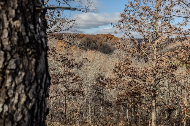 view of landscape