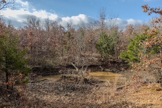 view of local wilderness