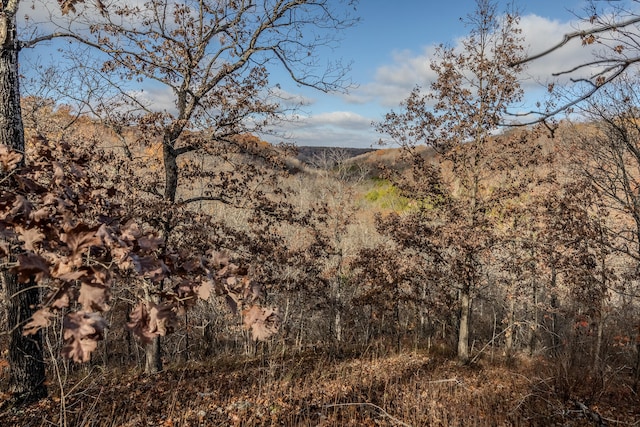 view of landscape