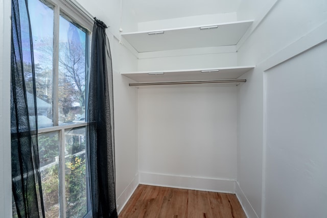 walk in closet with hardwood / wood-style floors