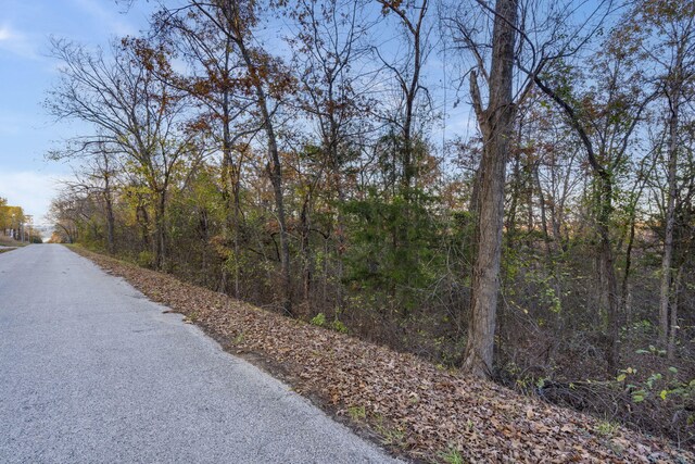 24 Lakeview Dr, Hollister, MO 65672 - photo 2