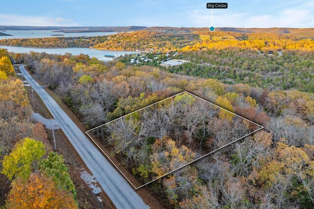 24 Lakeview Dr, Hollister, MO 65672 - photo 3