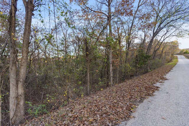 24 Lakeview Dr, Hollister, MO 65672 - photo 4