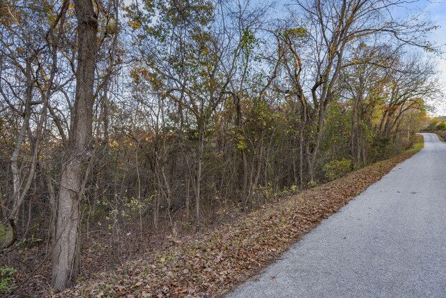 24 Lakeview Dr, Hollister, MO 65672 - photo 10