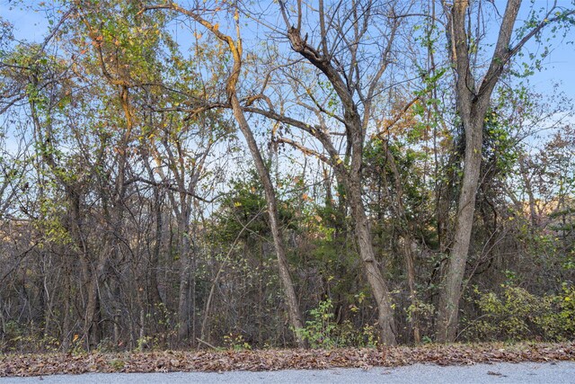 24 Lakeview Dr, Hollister, MO 65672 - photo 7