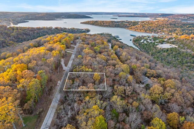 24 Lakeview Dr, Hollister, MO 65672 - photo 6