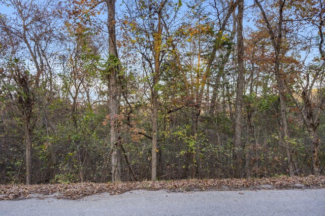 24 Lakeview Dr, Hollister, MO 65672 - photo 12