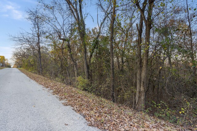 24 Lakeview Dr, Hollister, MO 65672 - photo 9