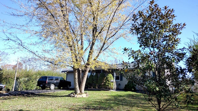 view of property hidden behind natural elements featuring a front lawn