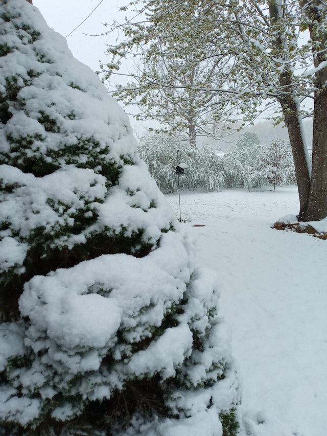 view of yard layered in snow