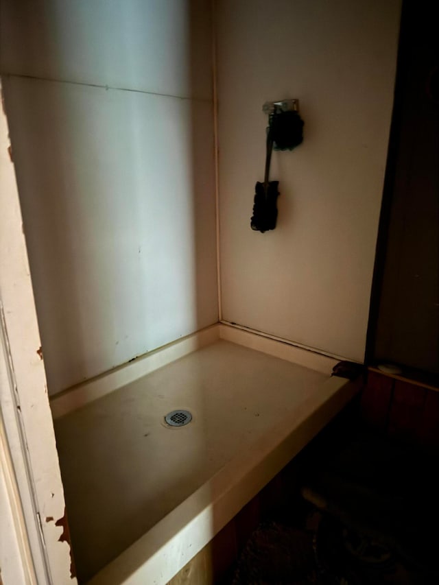 bathroom featuring a shower