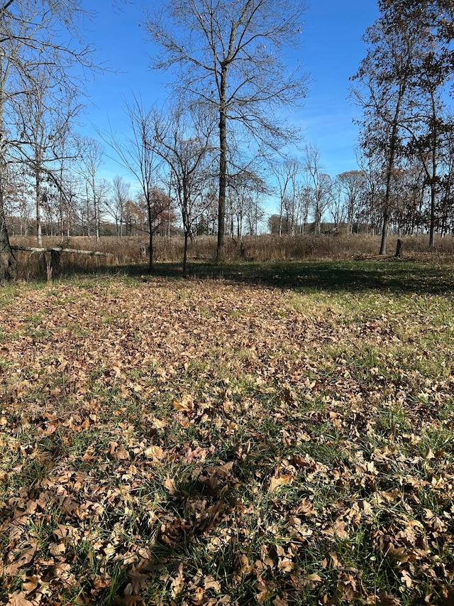 view of yard featuring a rural view