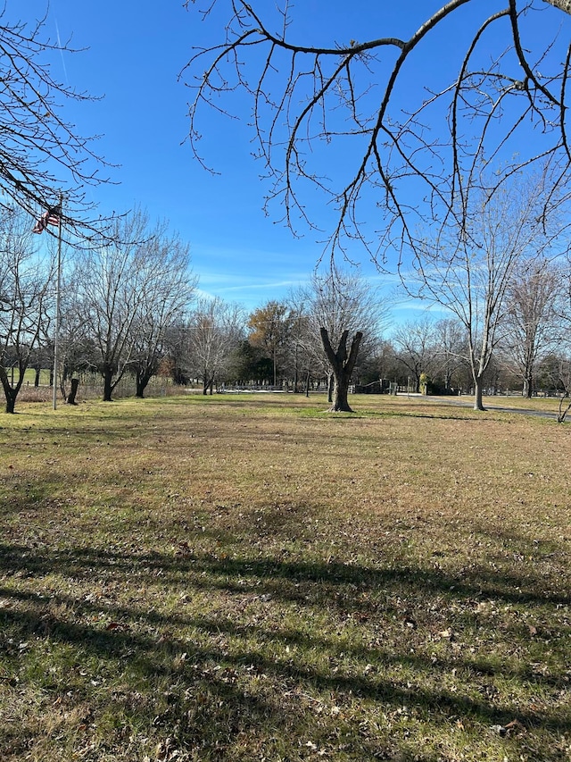 view of yard with a rural view