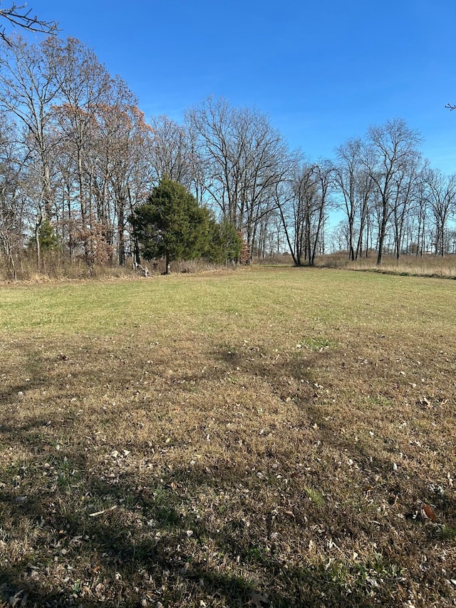 view of yard featuring a rural view