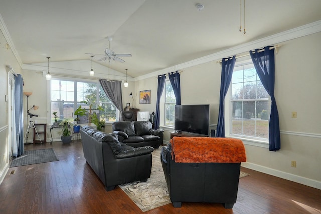 living room featuring dark hardwood / wood-style floors, ceiling fan, ornamental molding, and lofted ceiling