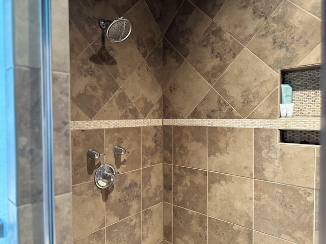 room details with tiled shower