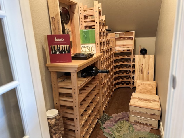 wine area featuring dark hardwood / wood-style floors