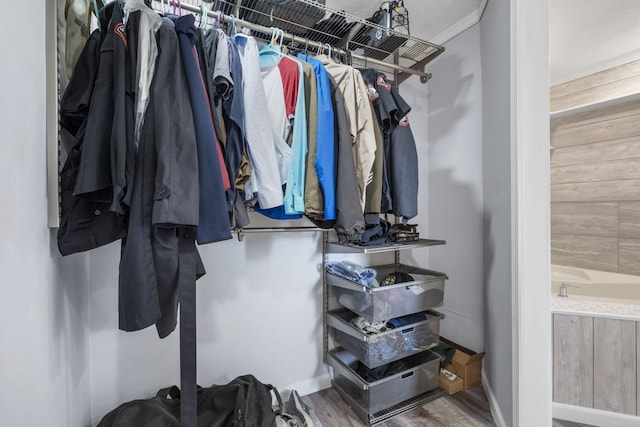 spacious closet featuring wood-type flooring