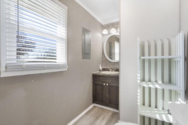 bathroom featuring hardwood / wood-style flooring, vanity, and electric panel