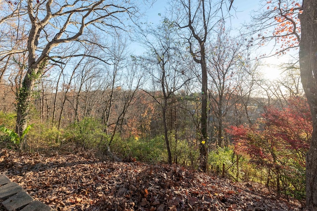 view of landscape