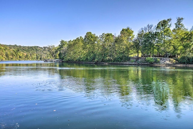 570 Abby Ln Unit 3, Branson, MO 65616 - water view featuring a forest