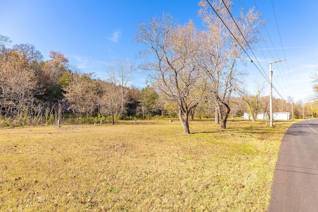 view of green lawn featuring driveway