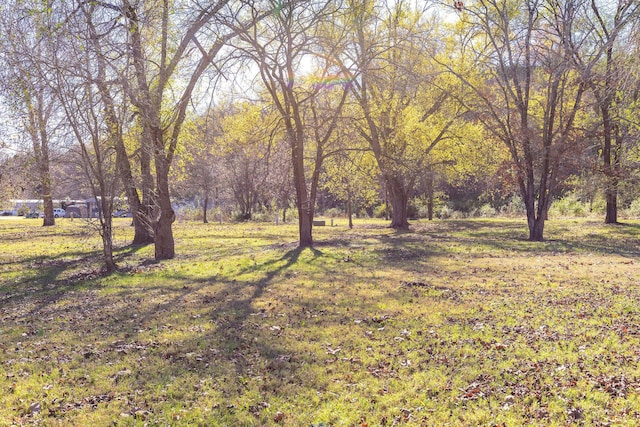 view of green lawn with a forest view
