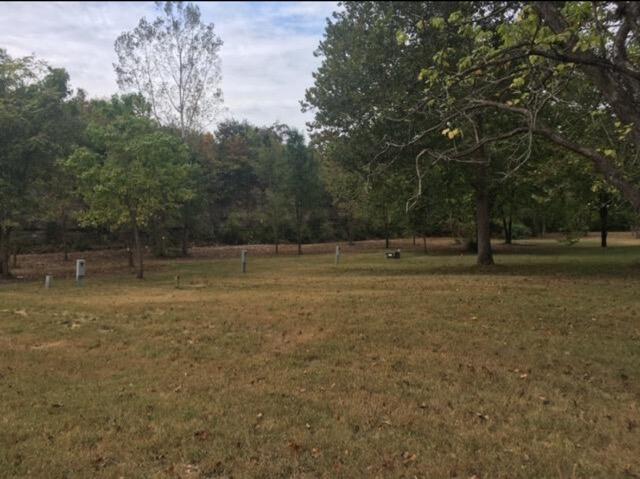 view of green lawn