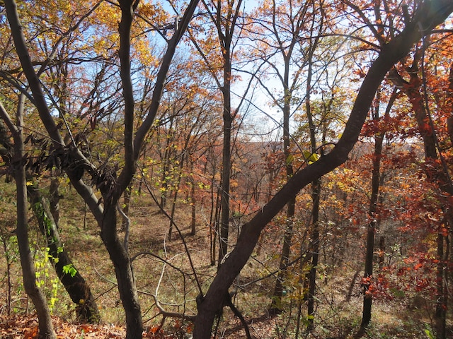 view of landscape