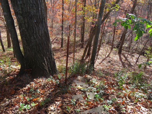 view of local wilderness