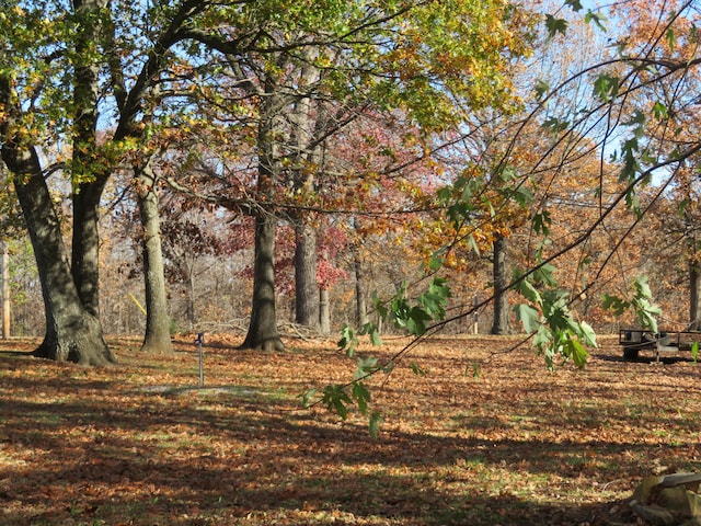 view of landscape