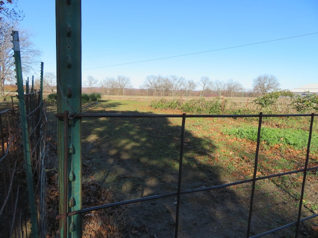 view of yard with a rural view