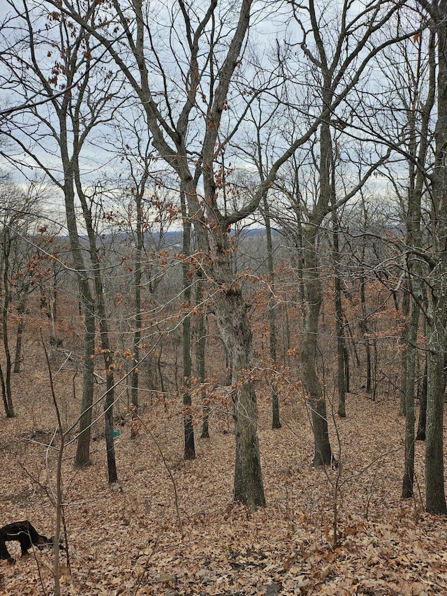 view of local wilderness