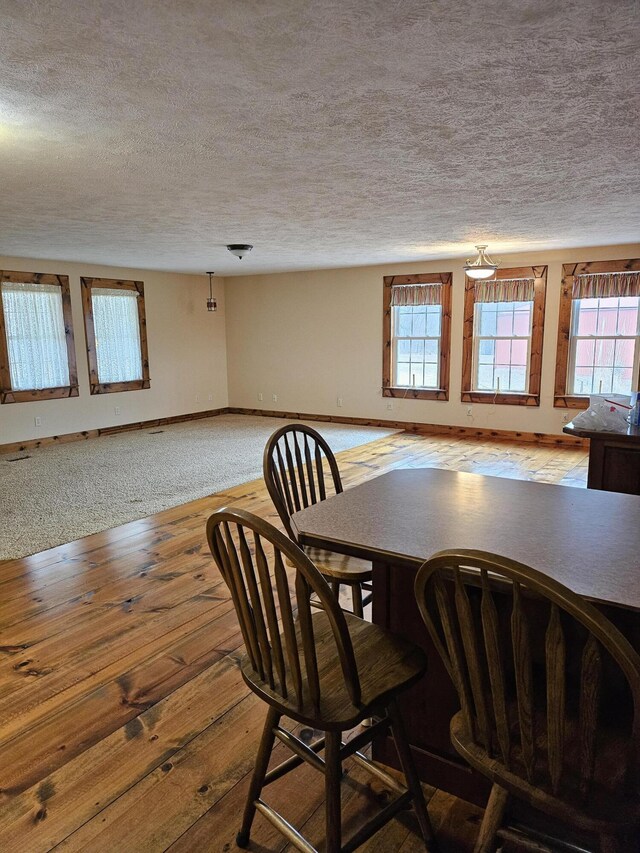 unfurnished dining area with hardwood / wood-style floors, a wealth of natural light, and a textured ceiling